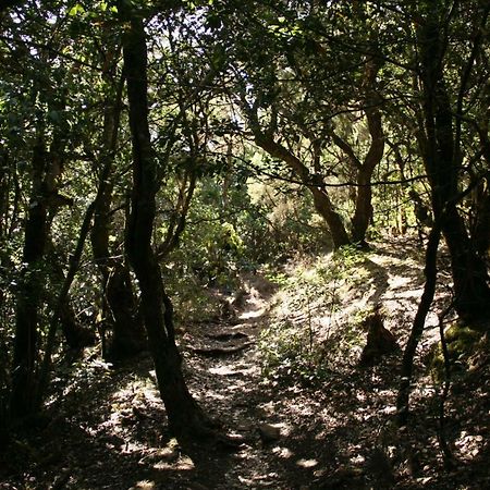 Vila El Sabinar Vallehermoso Exteriér fotografie