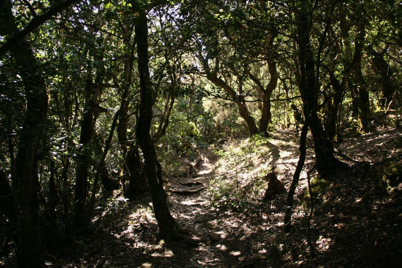 Vila El Sabinar Vallehermoso Exteriér fotografie