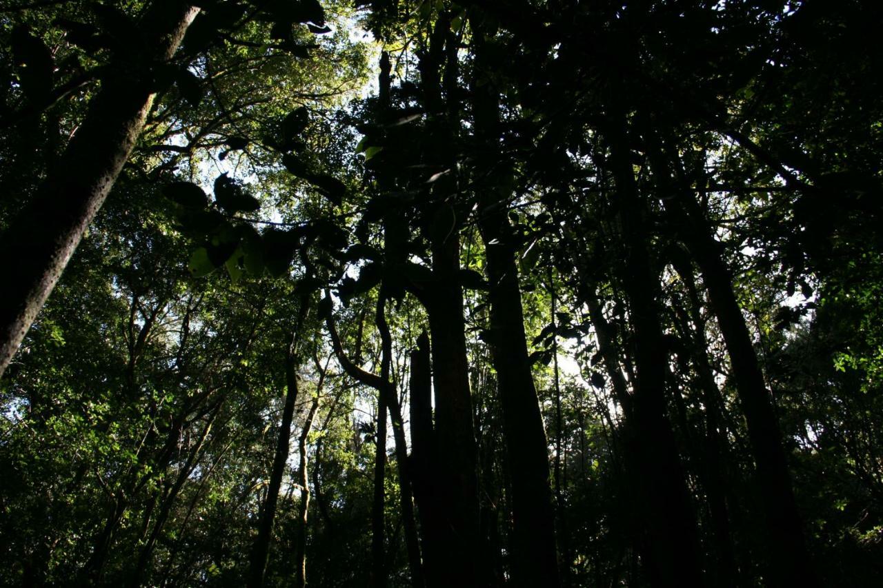Vila El Sabinar Vallehermoso Exteriér fotografie